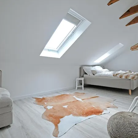 Haus Orbis Noster Im Harz - Whirlpool Und Sauna - Direkt Am Wald Villa