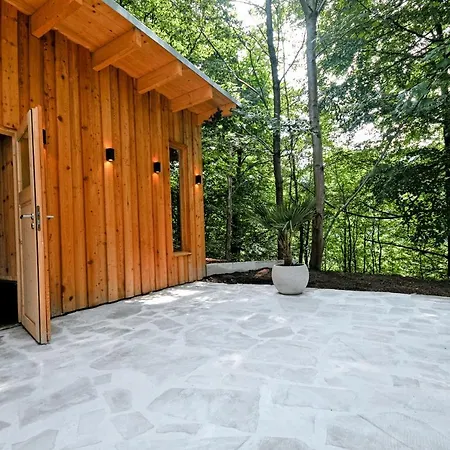 Haus Orbis Noster Im Harz - Whirlpool Und Sauna - Direkt Am Wald Villa *