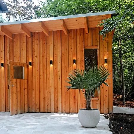 Haus Orbis Noster Im Harz - Whirlpool Und Sauna - Direkt Am Wald *
