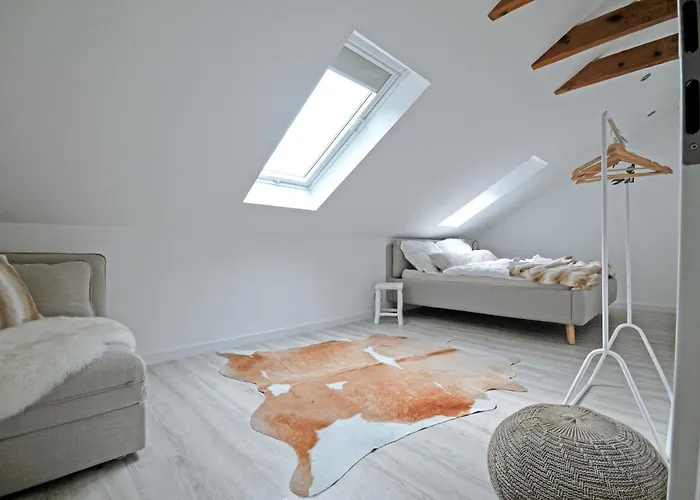 Haus Orbis Noster Im Harz - Whirlpool Und Sauna - Direkt Am Wald Villa