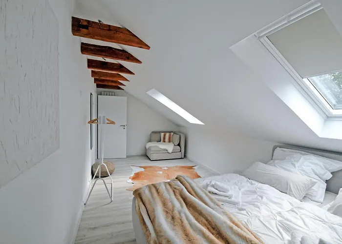 Haus Orbis Noster Im Harz - Whirlpool Und Sauna - Direkt Am Wald *