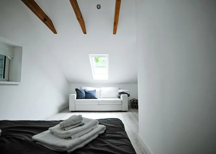 Villa Haus Orbis Noster Im Harz - Whirlpool Und Sauna - Direkt Am Wald *