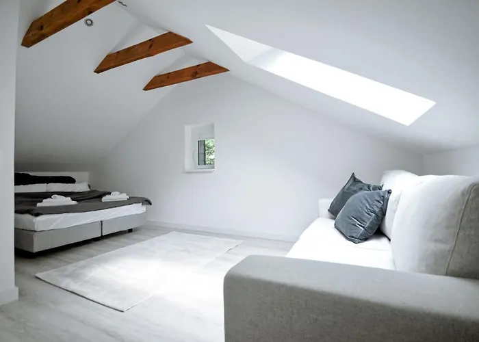 Haus Orbis Noster Im Harz - Whirlpool Und Sauna - Direkt Am Wald Villa *
