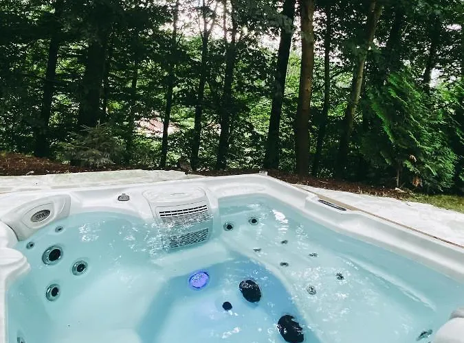 Villa Haus Orbis Noster Im Harz - Whirlpool Und Sauna - Direkt Am Wald