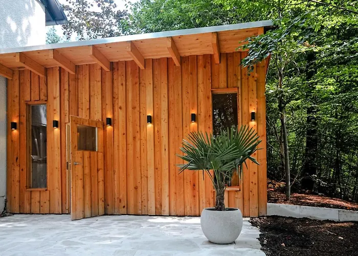 Haus Orbis Noster Im Harz - Whirlpool Und Sauna - Direkt Am Wald *