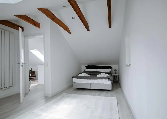 Haus Orbis Noster Im Harz - Whirlpool Und Sauna - Direkt Am Wald Villa *